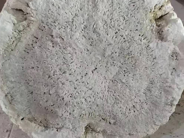 鎂砂大眼